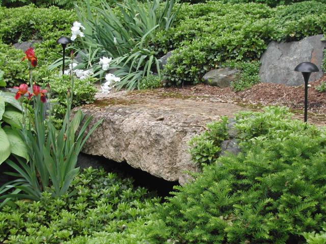 Japanese Garden Bridge