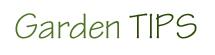 Garden Tips