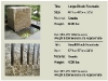 block-fountain-product-card