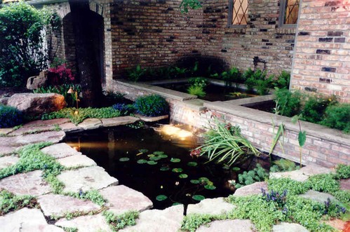 Koi Pond Design