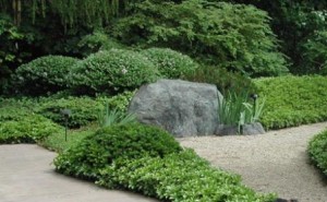 Japanese Garden pruning and plant shapes