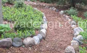 shredded wood mulch garden path